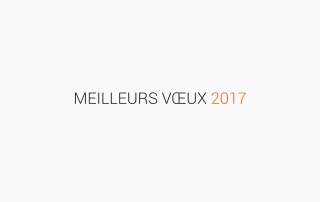 meilleurs vœux 2017